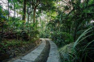 The Hive, Wayanad - Wayanad - 1