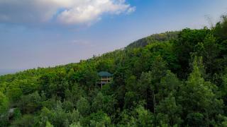 The Hive, Wayanad - Wayanad - 7