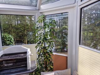 FeWo Harling - Waldoase - 1