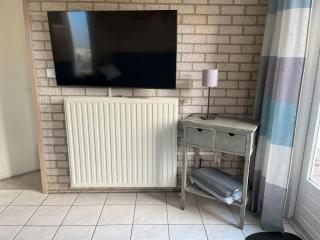 Ferienhaus CARPE DIEM Schoneveld - Breskens - Urlaub mit Hund - Breskens - 4