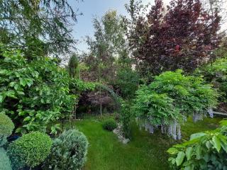 Meer Dorf Stille - Hütten in den Gärten Magra - Ferienhaus Rose - Zakrzewo - 5
