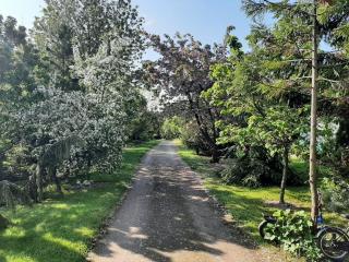 Meer Dorf Stille - Hütten in den Gärten Magra - Ferienhaus Rose - Zakrzewo - 3