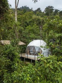 Hotel Rivel - Restaurant & Nature Retreat - Turrialba - 6