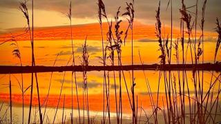 Sutton Coach House - 2