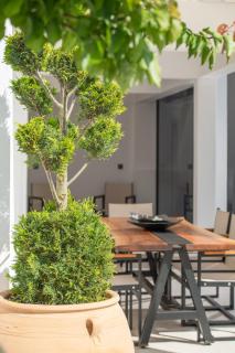 Alexandrion Appartements Down Town - Sarti - 5