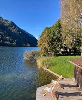 Ferienwohnung Im Haus Seebrauer In Feld Am See - Feld am See - 8