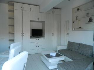 Stylisches Studioappartement in Rosu - Roşu - 4