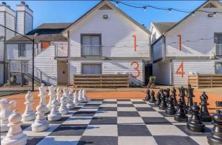 Perfectly Located Stay at Med-Center Pool & Gym - Houston - 7
