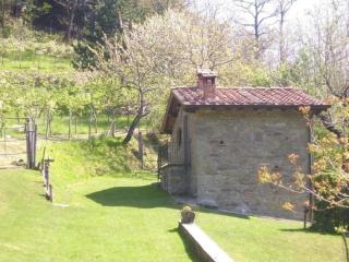 Appartement in Bibbiena mit Grill, gemeinsamem Pool und Garten - Bibbiena - 9