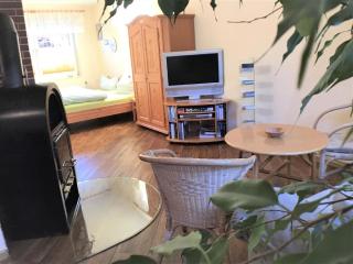 Gemütliche Einraumwohnung Im Erdgeschoss Mit Doppelbett Und Kaminofen - Benneckenstein - 2