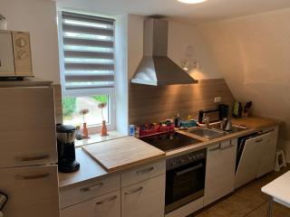 Komfortable Ferienwohnung in Vogelsang Grünholz - Damp - 1