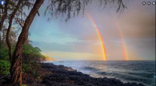 Tropical Zen Bungalow - Pahoa - 7