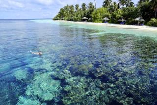 ROBINSON MALDIVES - Adults only - Gaafu Alifu Atoll - 6