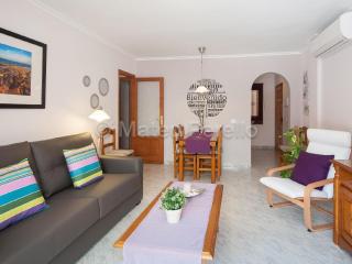 Ferienwohnung in Son Baulo mit Grill, Garten und Terrasse - Can Picafort - 6