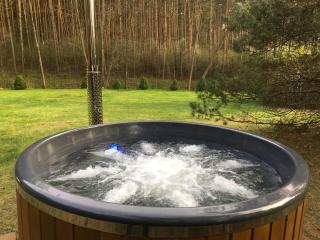 Deluxe Holiday Zdrojowa -Willa typu Alpejskiego w Borach Tucholskich-Całoroczna Balia z jacuzzi-Prywatny las i strumyk -Duża Wiata grillowa - Osówek - 1
