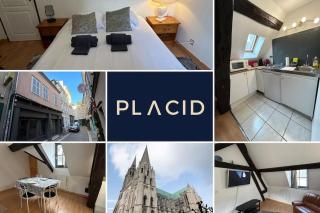 Appartement 1 chambre L'Envolée - Chartres - 9