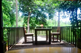 Guruwaththa Eco Lodge - 0