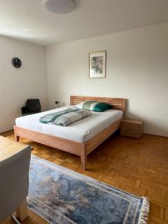 Wohnung in Graz - Graz - 2