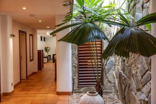 17 Wharf Street - Main House & Bungalow - Port Douglas - 4