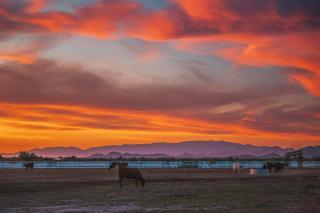 Casa Grande - Willcox - 3