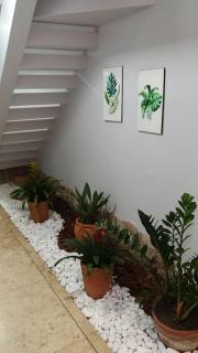 LINDA CASA NO CENTRO HISTÓRICO - São João del-Rei - 1