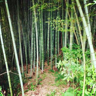 古民家一棟貸しナノビレッジ岡山 - 3