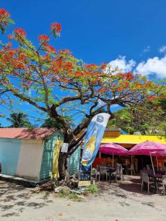 KANALU BEACH APPATEMENT - Bouillante - 7