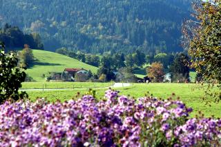 Ferienwohnungen im Alpengästehaus Marzoll - Bad Reichenhall - 2