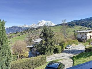 Chalet 9 personnes à Combloux, Mont Blanc - FR-1-560-125 - Combloux - 4