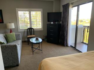 Great Location Studio Pool/Lake View Orlando I-Drive - 3
