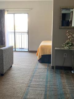 Great Location Studio Pool/Lake View Orlando I-Drive - 1