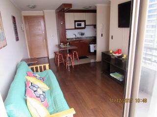 Gran Ubicacion, Estacionamiento y Piscina - 5