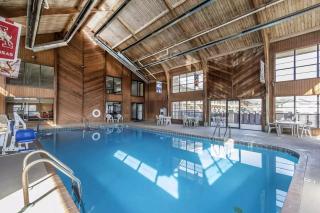 Quality Inn and Suites - Stuttgart - 3