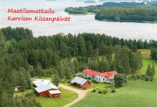 Karvisen Kissanpäivät Joensuun lähellä - Ruokola - 9