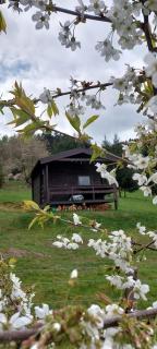 Chata na samotě, Šumava - Vrhaveč - 0