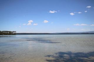 Little Sanctuary Your Perfect Getaway, A Short Stroll to Palm Beach - Sanctuary Point - 3