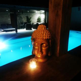 Logement cosy avec piscine et jacuzzi privatifs 4 étoiles - Saint-Dolay - 4
