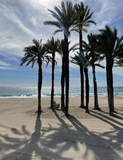 Beachfront Apartment La Vila - Villajoyosa - 3