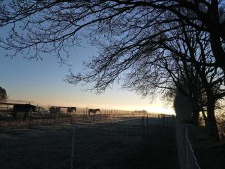 Herzfeldhof Worpswede - 2