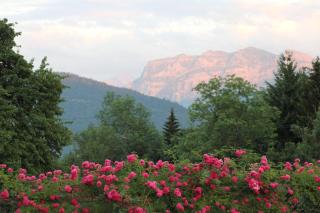 Bio Ferienbauernhof Greber - Natururlaub mit Ponys & Kaninchen - 2
