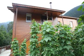 Günes Apart - Uzungöl - 7