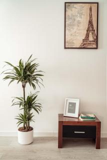 Palace of Culture & Palas Mall Collection Suites & Studios - 2