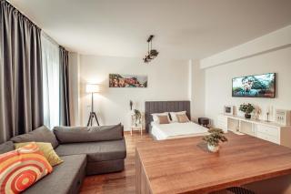 Palace of Culture & Palas Mall Collection Suites & Studios - Iaşi - 1