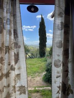 Casa Dell'Arte Botanica - Palaia - 1