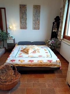 Casa Dell'Arte Botanica - Palaia - 8