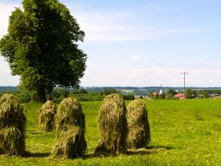 Huberhof - Riedering - 8
