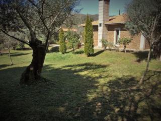 PONTE DE LIMA - VILLA VIVENDA OLIVAL - Piscine privée entre mer et montagne - Canadelo - 1