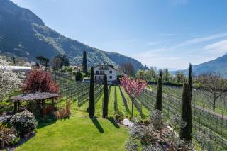 Haus Rosengarten Apt D - Terlano - 9