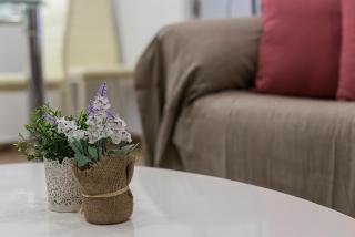 Playa Santa Maria Moderno 3 Rooms - Cadice - 3