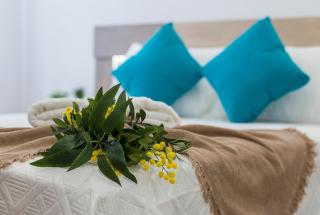 Playa Santa Maria Moderno 3 Rooms - Cadice - 1